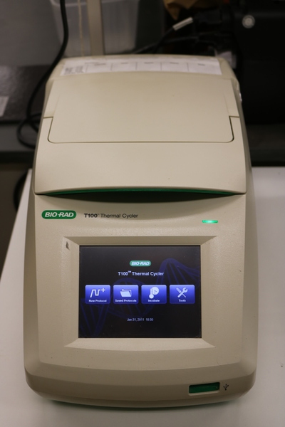 Termociclador tipo PCR, Biorad T100